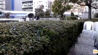 日本AV厕奴番号,成人视频高清免费观看